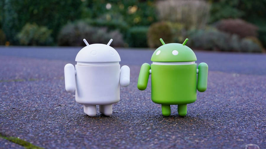 Android Developer