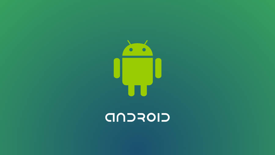 Android Developer