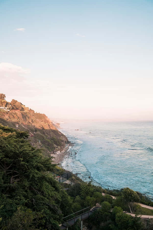 Android Malibu Background