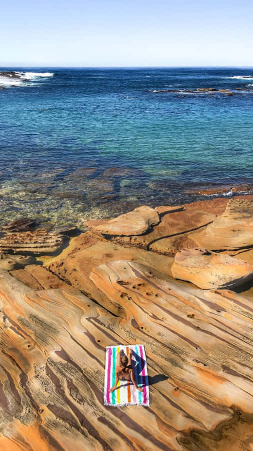 Android Summer Background