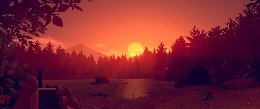 Download Animated Sunset In Forest Wallpaper | Wallpapers.com