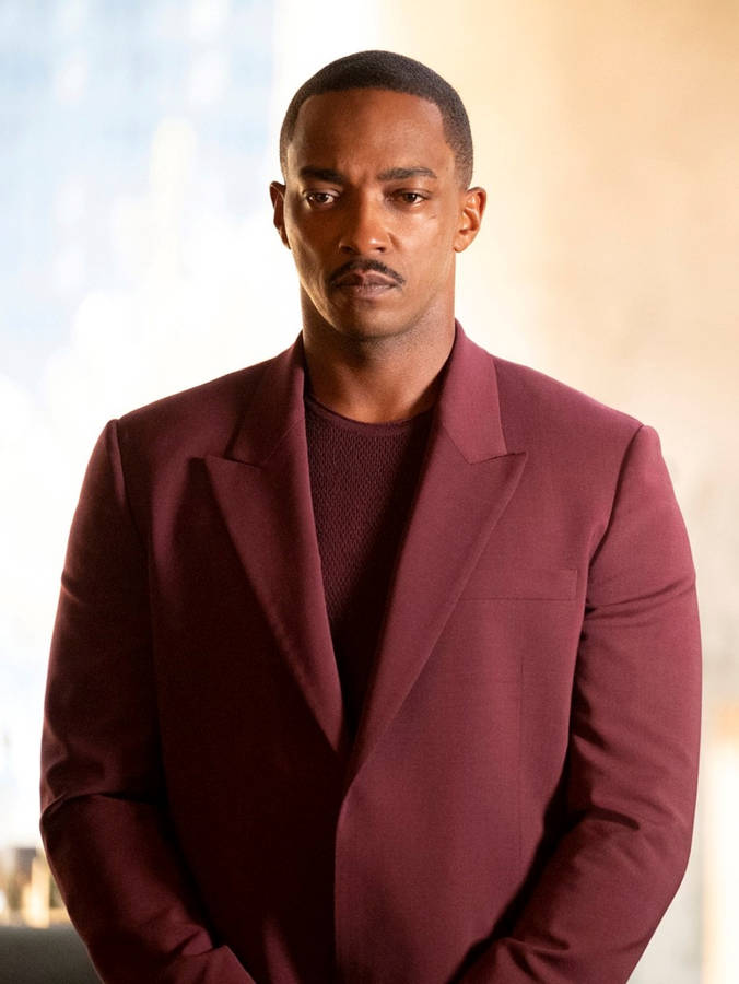 Download Anthony Mackie In Maroon Wallpaper | Wallpapers.com