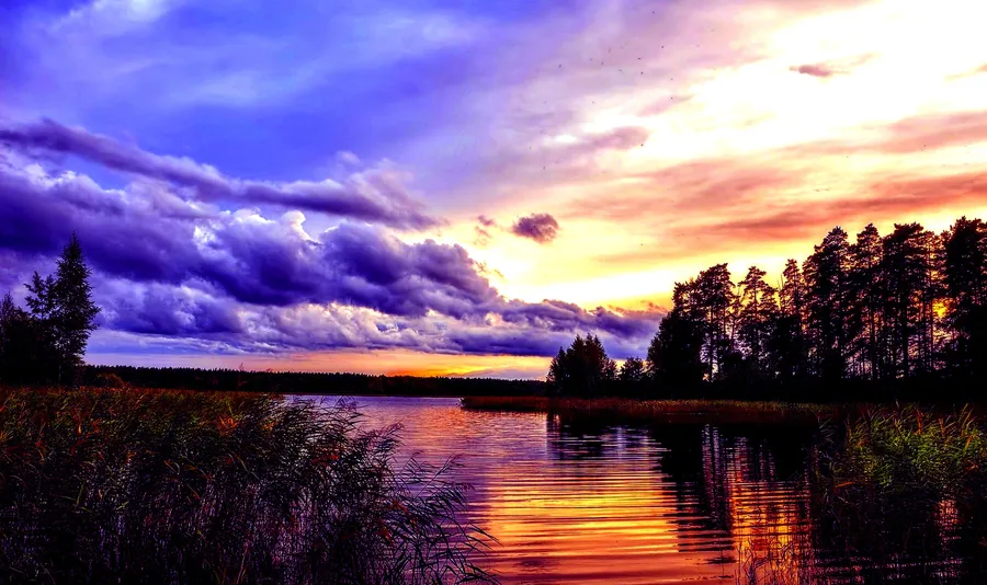 Cool Landscape