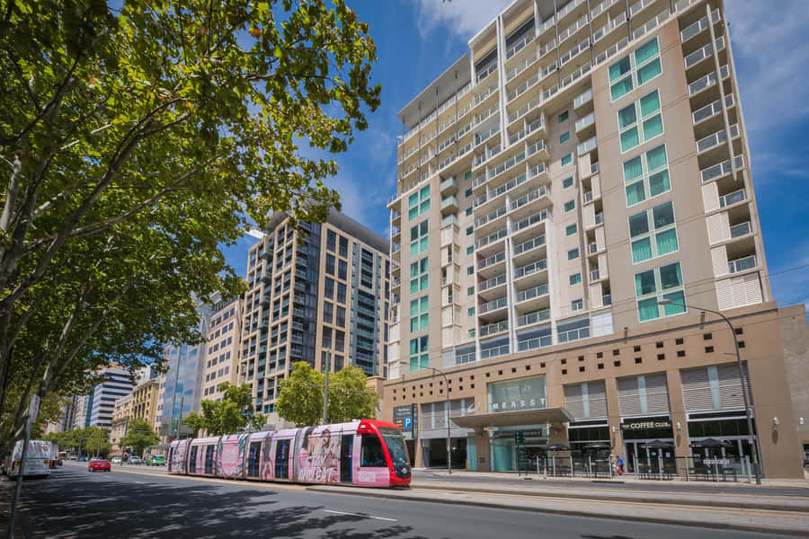 Scena Urbana di North Terrace Adelaide