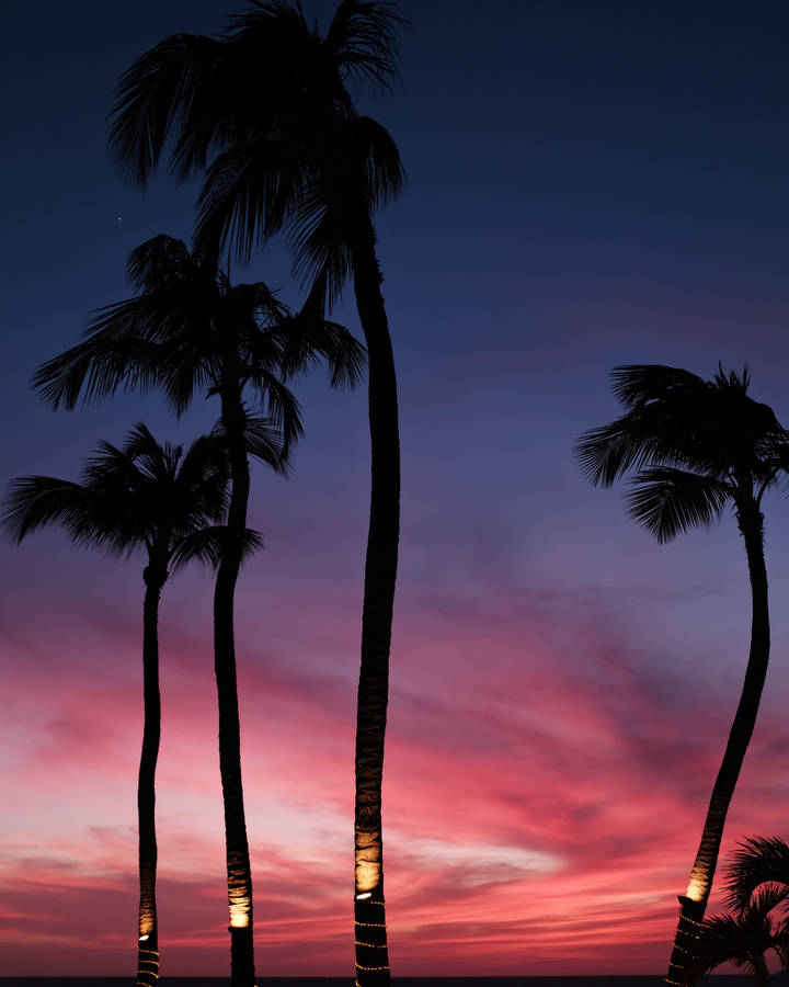 Aruba schemerstrand wallpaper