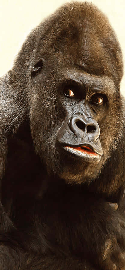 Zeigedich mit dem ikonischen iPhone X Gorilla