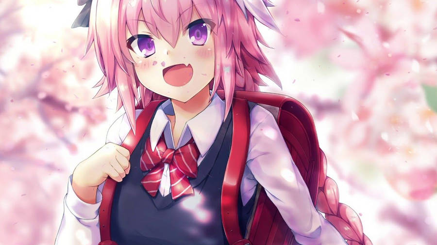 Download Astolfo Wallpaper