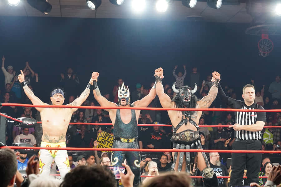 Pro Wrestlere Feirer Seier i Ringen