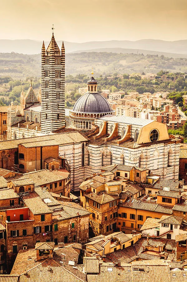 Siena Cathedral