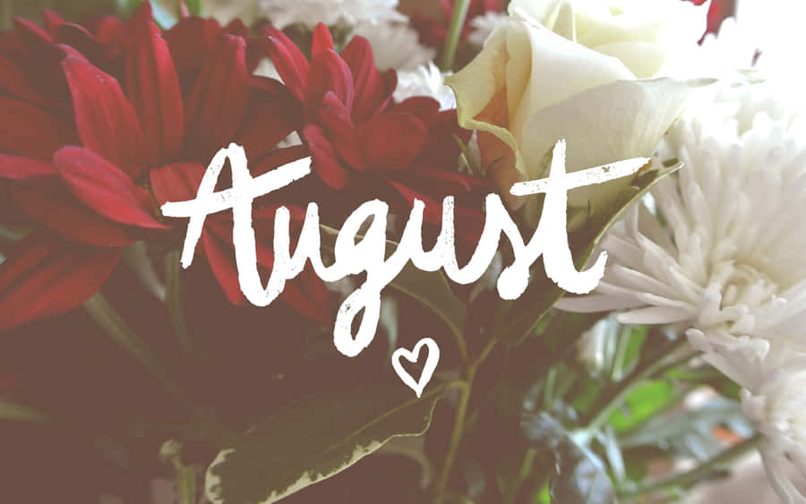 August Blumen Desktop Hintergrund Hintergrundbilder