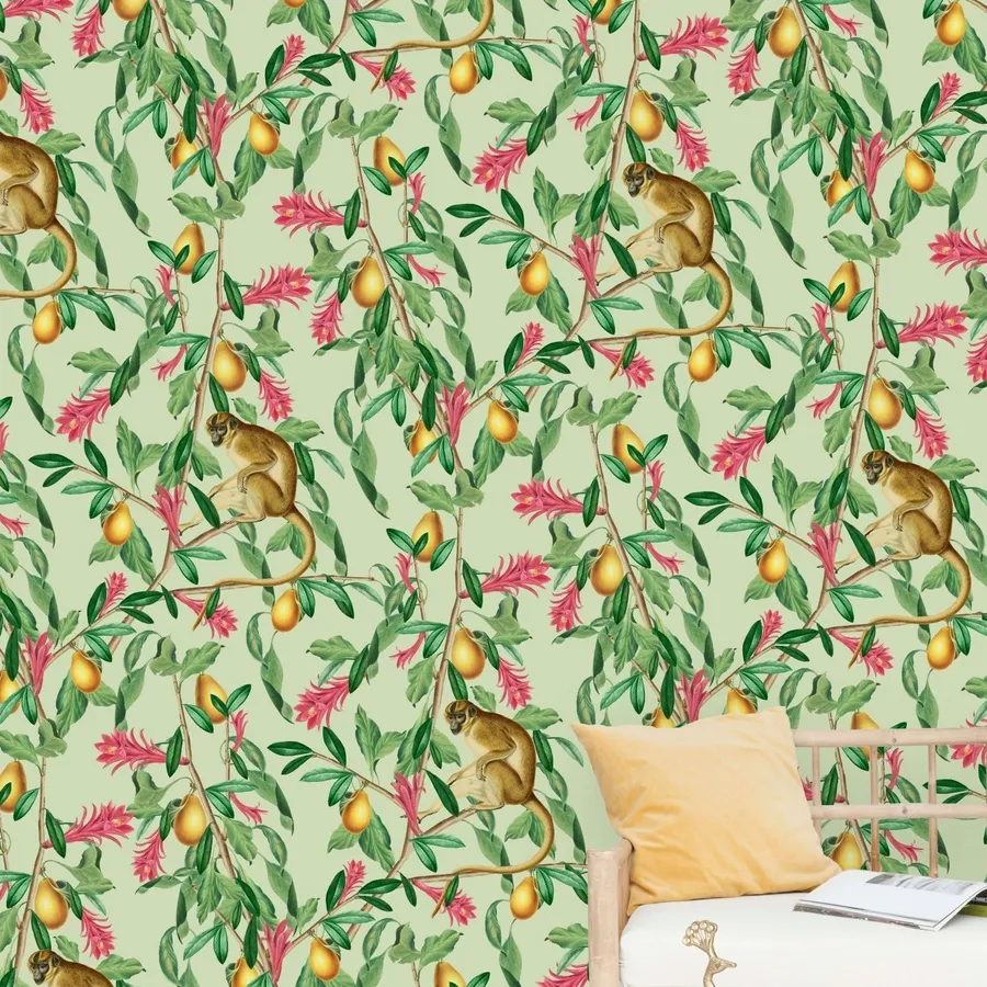 Monkey background