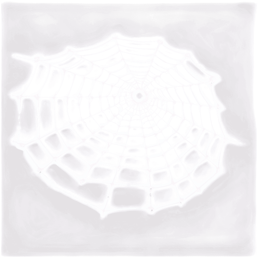 Minimal Cobweb Design PNG 05262024