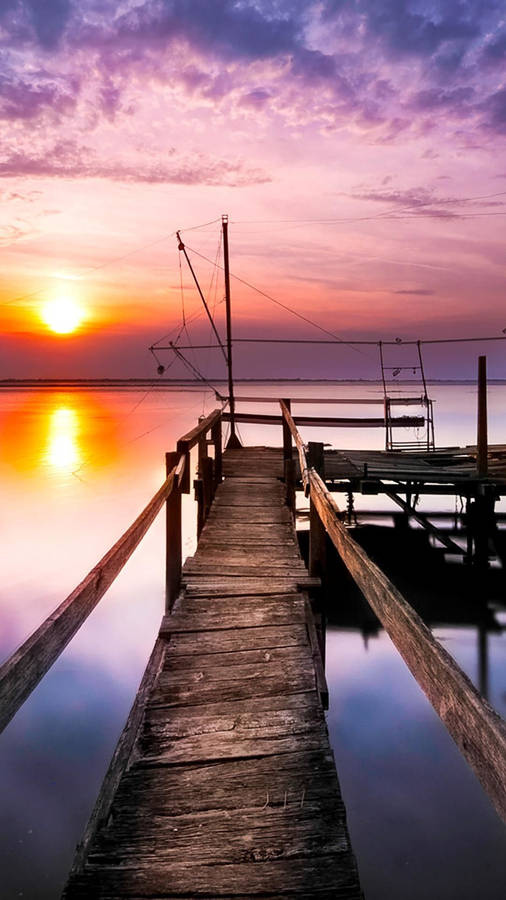 Immaginegratuita tramonto viola