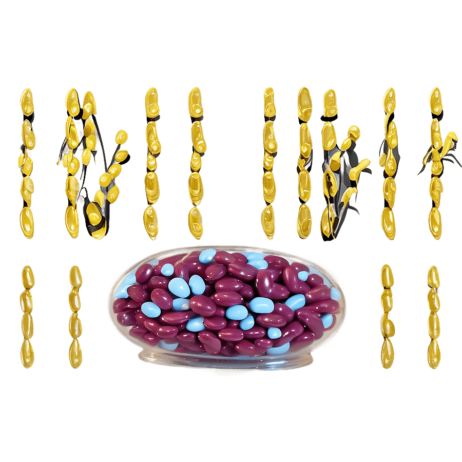 Jelly Bean Candy Jar PNG qvv32