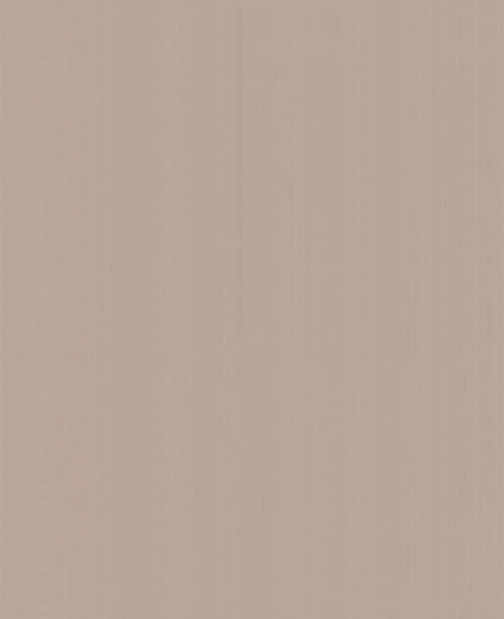 Minimalistischerhellbrauner Hintergrund