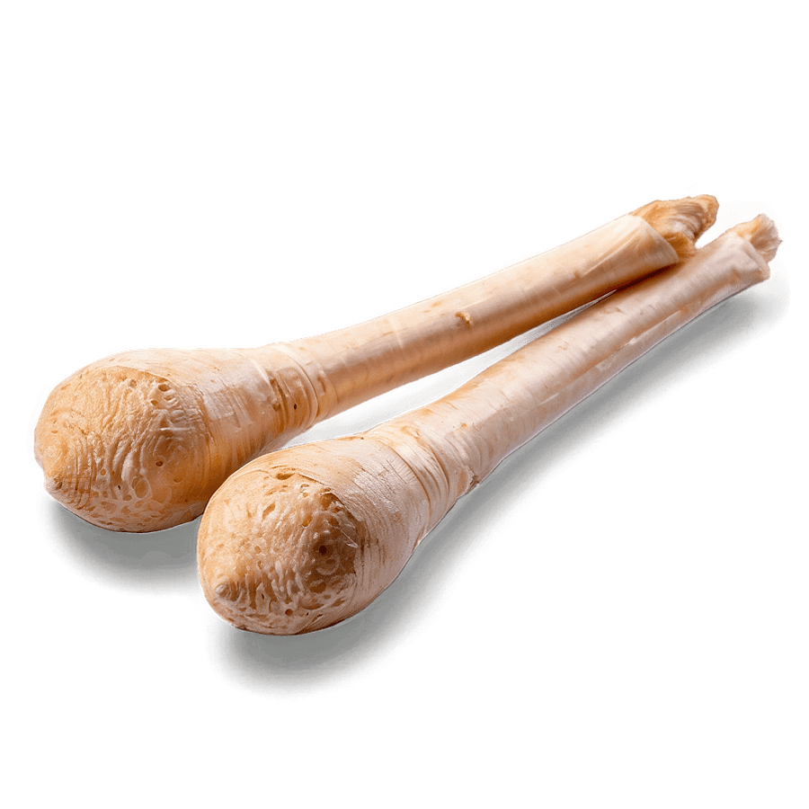 Drumstick Transparent Background PNG 06132024