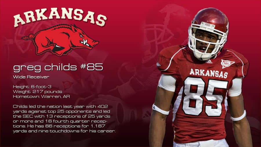 Arkansas Razorbacks