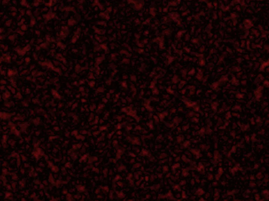 Dark Texture Background