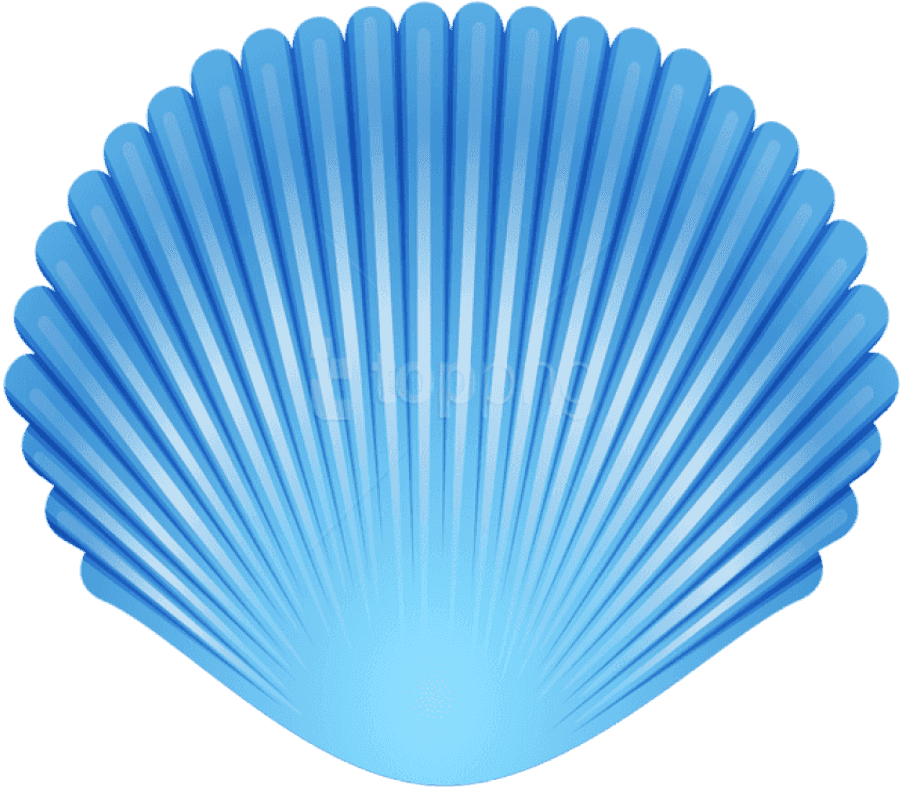 Blue Seashell Graphic