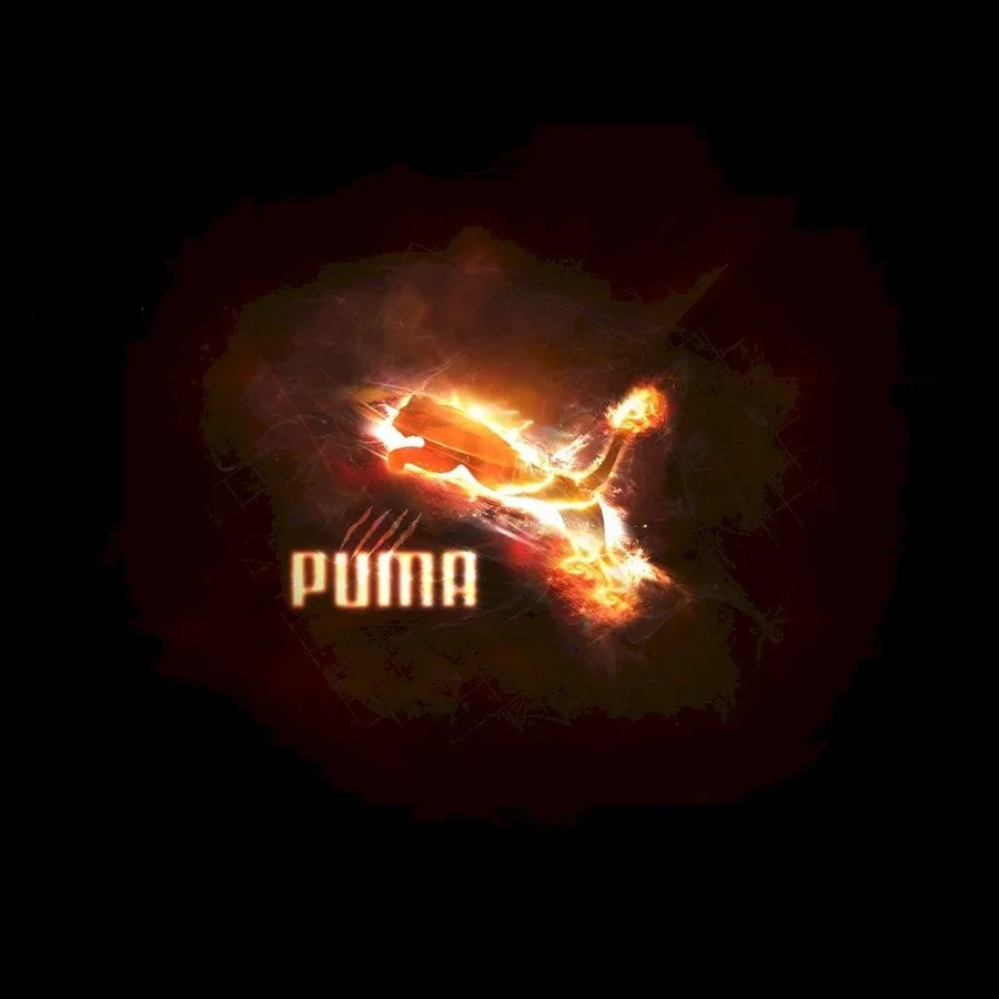 Puma background