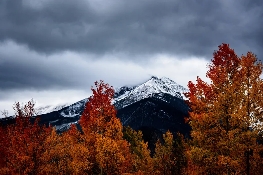 Aesthetic Fall background
