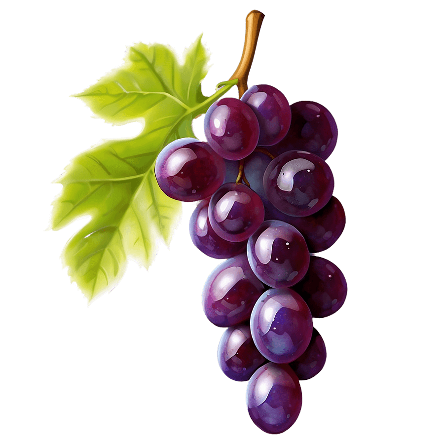 Glossy Shine Grape PNG qxm97