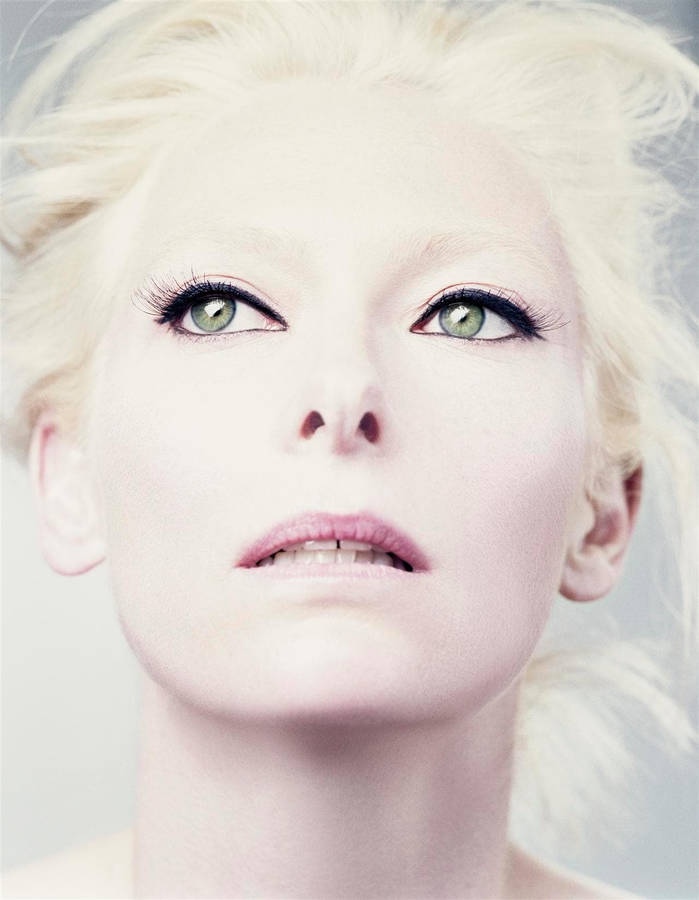 Tilda Swinton Britisk Skuespiller Make Up Wallpaper