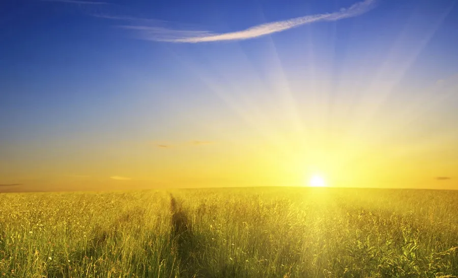 Sun Background