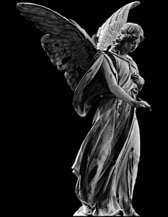 Sculpted Angelin Contemplation