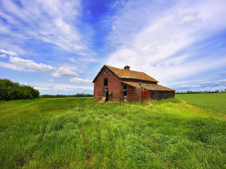 Barn Background