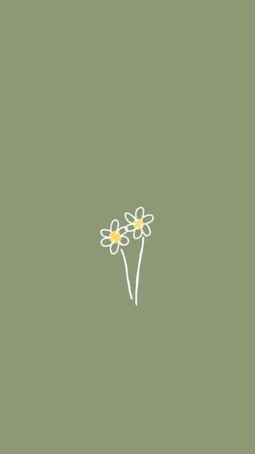 Basic background