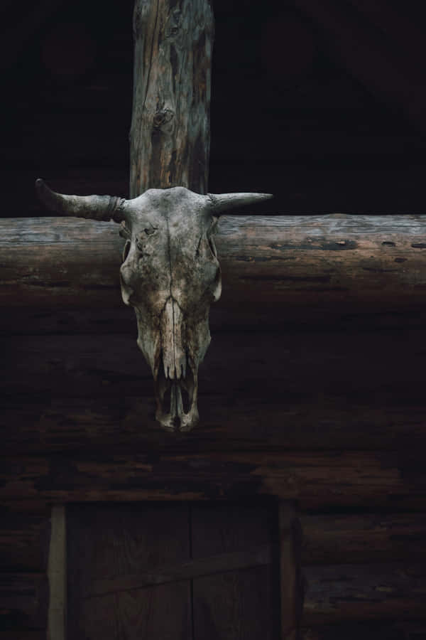Decoração de Crânio Longhorn Rústico.jpg