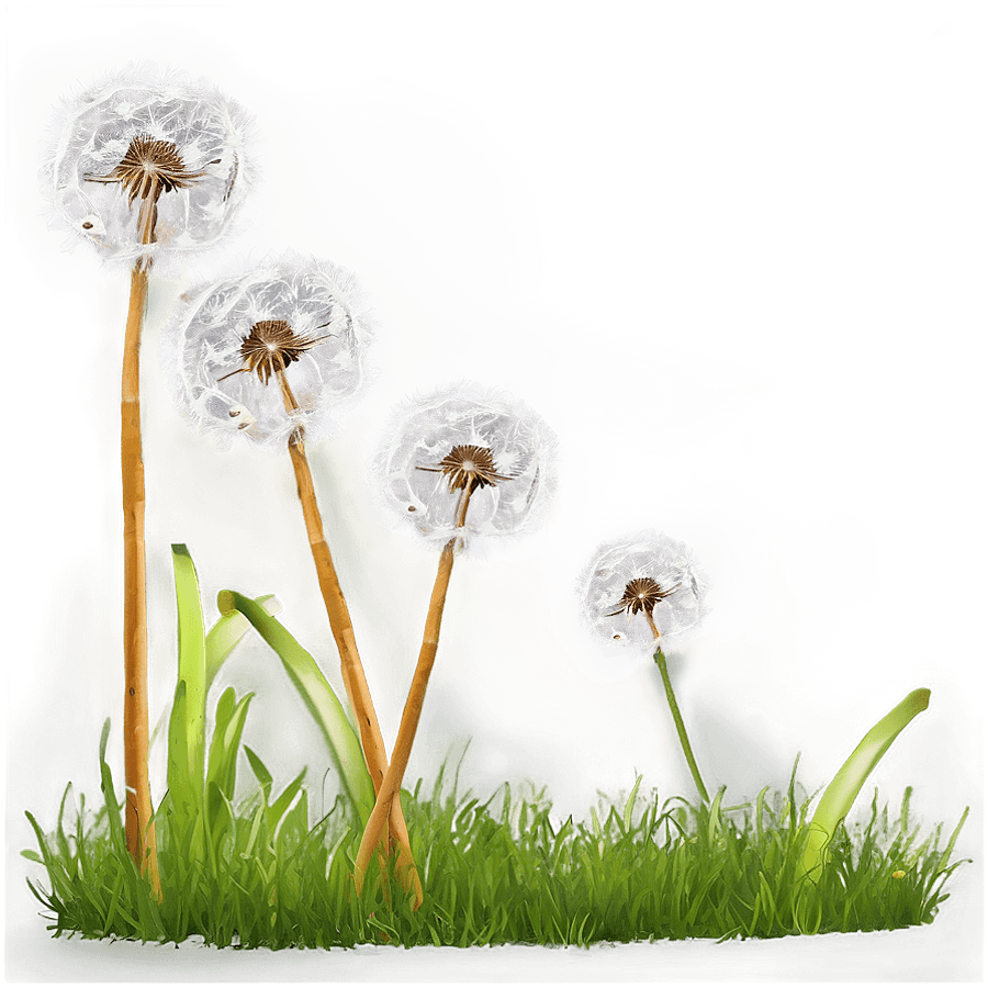 Dandelion in Meadow PNG 79