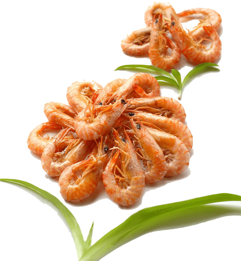 Grilled Shrimp Png - Shrimp And Prawn, Transparent Png