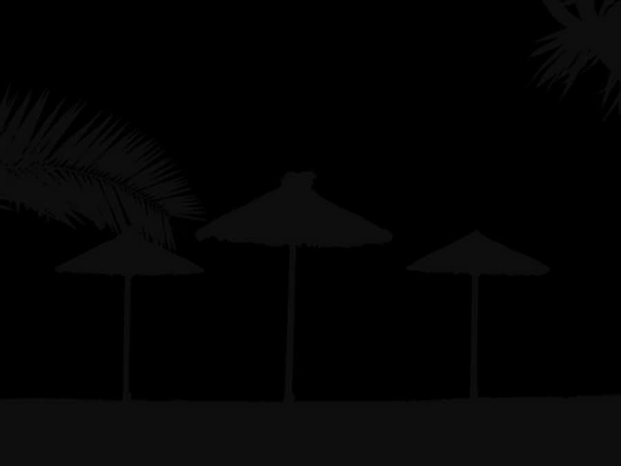 Tropical Beach Night Silhouette