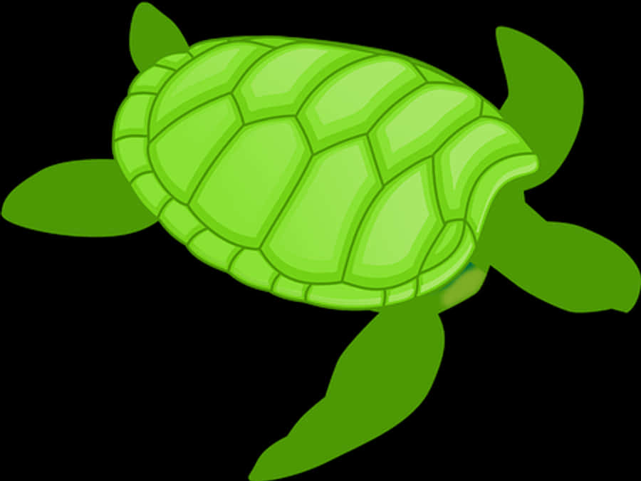 Green Cartoon Turtle Illustration