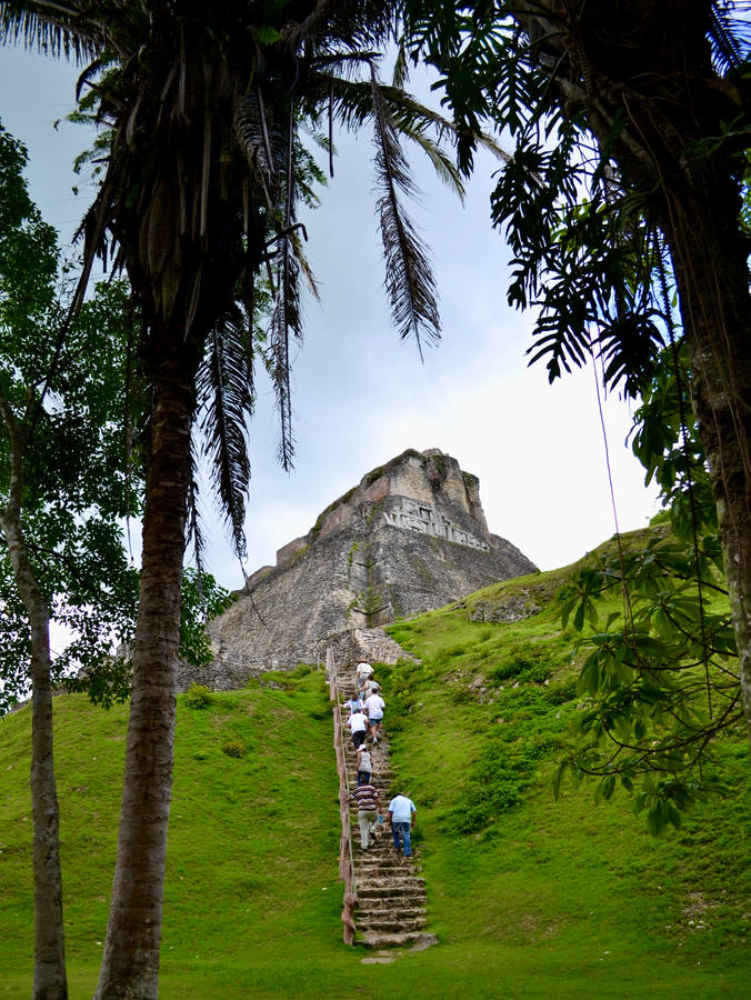 Download Belize Xunantunich Mayan Ruins Wallpaper | Wallpapers.com