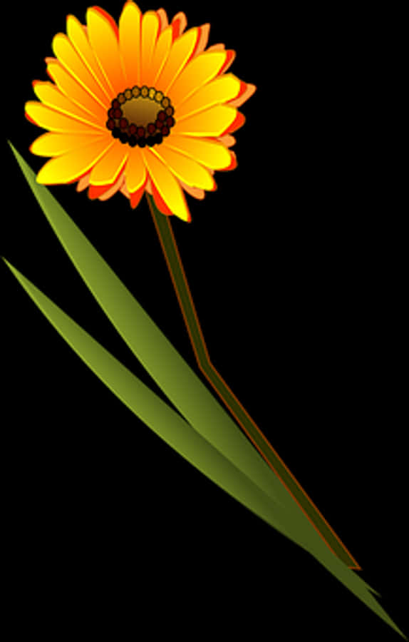 Vibrant Orange Daisy Graphic