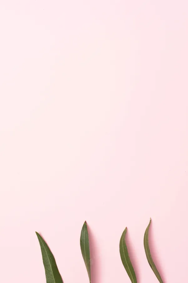 Minimalist Pink