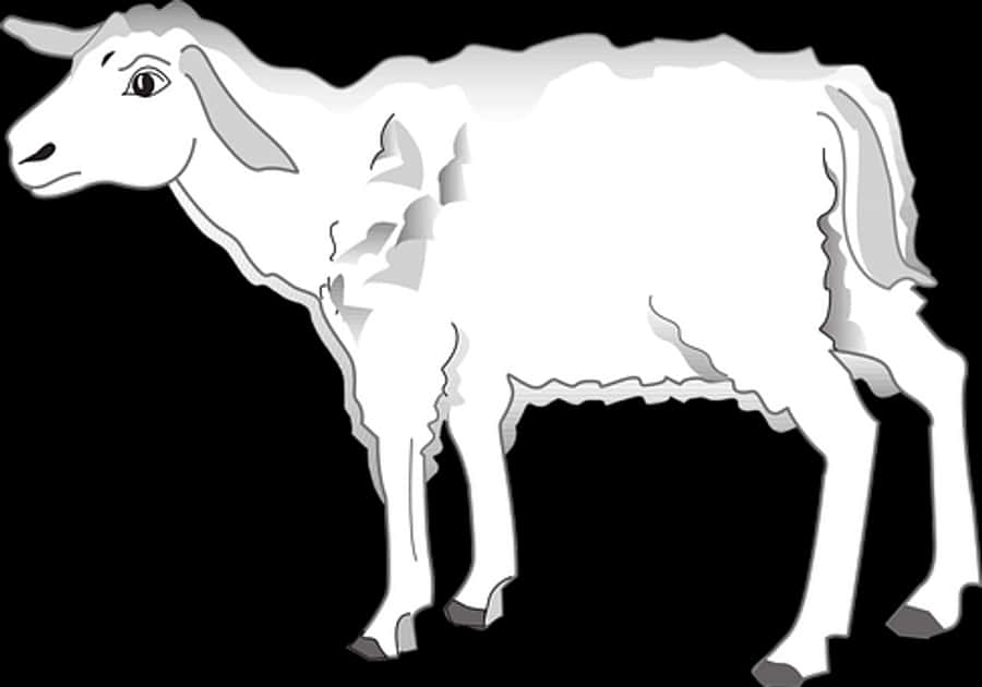 Blackand White Lamb Illustration
