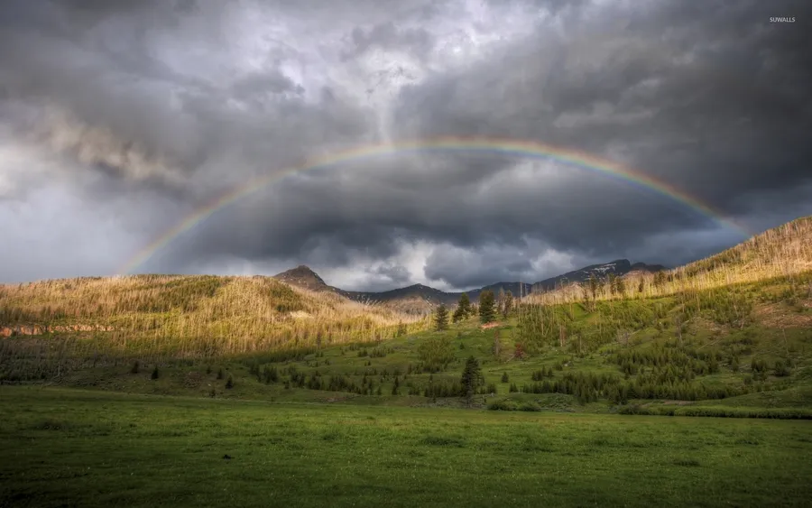 Yellowstone