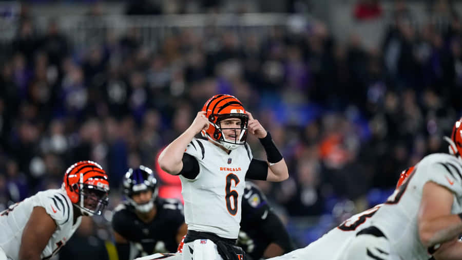 Quarterback dei Cincinnati Bengals Segnale Pre Snap