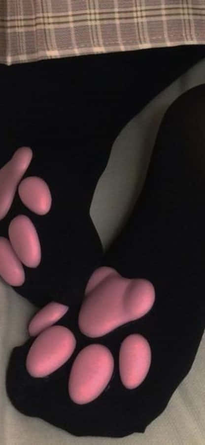 Meias com Impressão de Patas de Animal