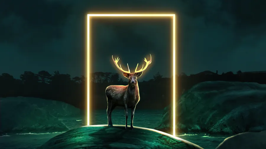 Deer Desktop
