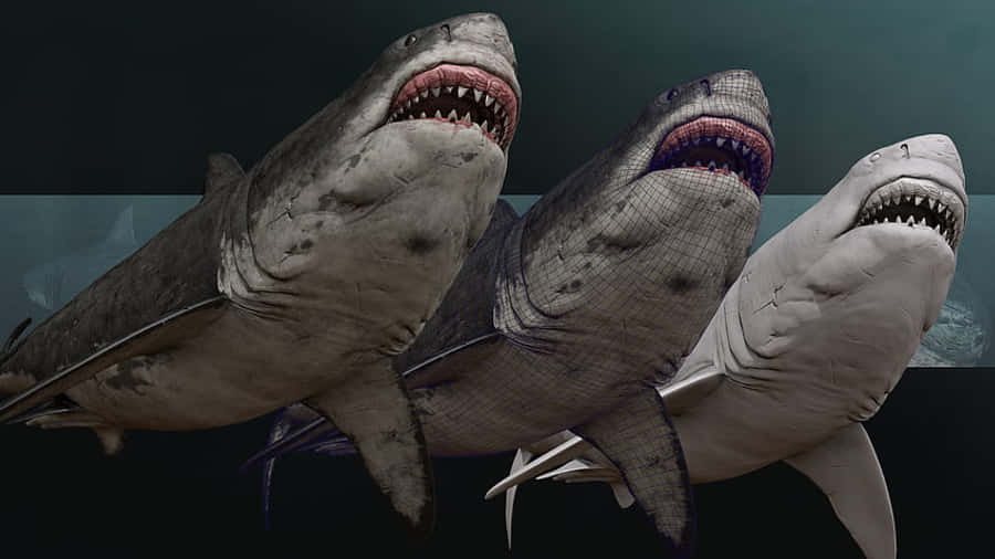 Megalodon Pictures 850 x 478