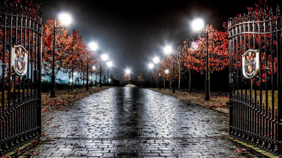 EinTor mit Lichtern in der Nacht in einem Park