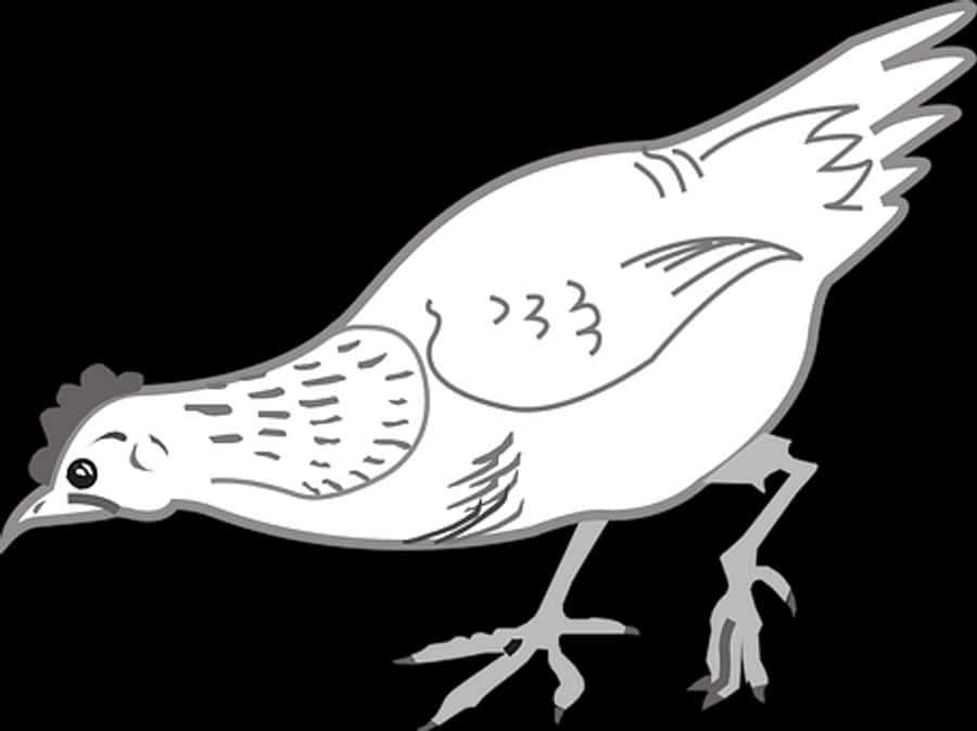 Stylized Chicken Illustration