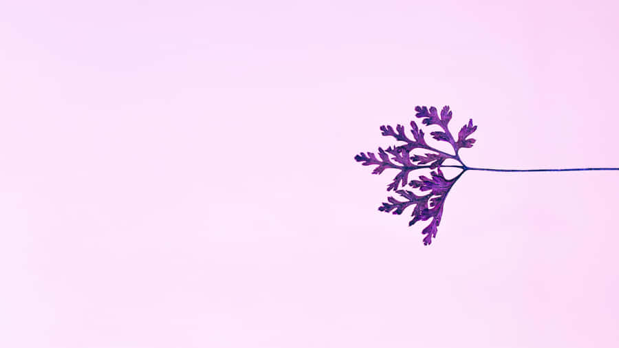 Sanfte Lila Ästhetik Blatt Silhouette
