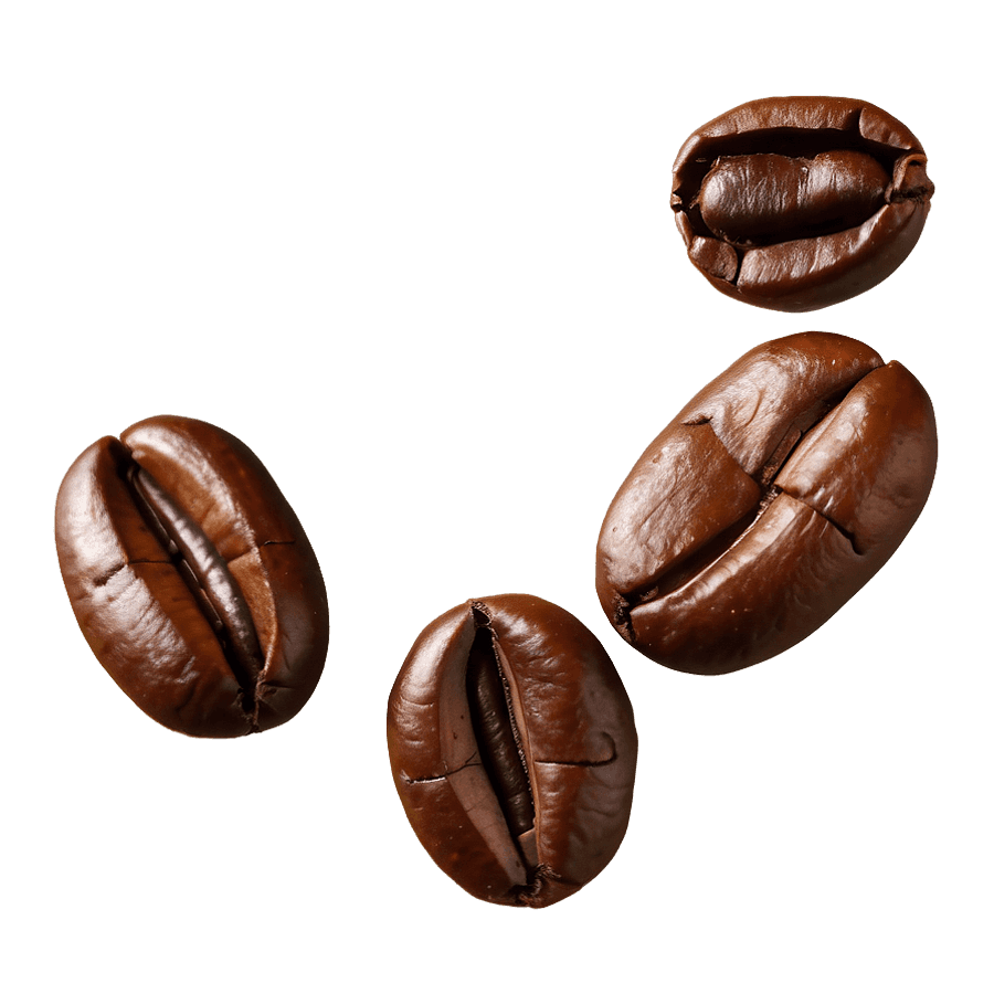 Single Coffee Bean PNG 28