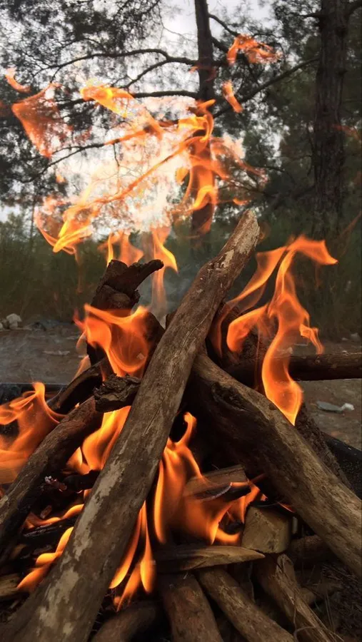 Aesthetic Fire